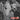 The Molotovs - Welcome To Urbia