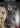 Elisabeth Moss - The Invisible Man (Extended Edition)