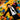 The Divine Comedy - Charmed Life: The Best Of