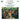 Oberfrank / Hsso / Sols - St Matthew Passion