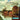Christoph Schickedanz - Work For Violin & Piano Vol 2
