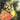 Trevor Pinnock - Sons Of Bach: Concertos
