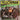 Yellowman - Zungguzungguguzungguzeng