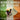 Various - Rebel Songs Of Ireland