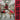Various Artists - Dollar Bill Yall: Spring Records & The First Decade Of Hip Hop