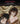Manic Street Preachers - Assassinated Beauty. Photographs