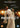 Liesl Tommy / Jennifer Hudson / Marlon Wayans / Mary J Blige - Respect