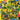 Happy Mondays - Pills N Thrills & Bellyaches