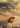 Chloe Zhao/Brady Jandreau - The Rider