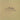Jose Gonzalez - Veneer