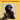 Freddie McGregor - Mr. McGregor