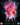 Dan Stevens/Rachel Keller/Aubrey Plaza - Legion The Complete Season One
