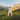 Rianne Downey - Consequence Of Love
