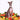 Shellac - Excellent Italian Greyhound