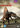 John Hurt - Planet Dinosaur