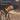 Massimo Data - Bassoon Trios