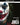 Todd Phillips / Joaquin Phoenix / Frances Conroy / Robert De Niro - Joker