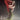 Jacob Schauer - In Death I Am Caressing You