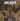 John Denver - Original Album Classics