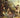 Jordi / ton koopman / monica huggett / chiara banchini Savall - Les Apotheoses