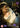 Rebecca Night - Fanny Hill