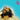 Matt Berry - Hear Noises