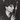 Alan Vega - Live At Max's Kansas City