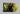Yellow Smoke Vinyl