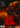 Hunter Doohan - Evil Dead Burn