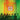 King Gizzard & the Lizard Wizard - Float Along - Fill Your Lungs (Injection Molded PET EcoSonic LP)