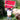 ear - Rumspringa
