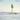 Max Richter - While The Flood Rages