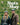 Mike Leigh/Roger Sloman/Alison Steadman - Nuts In May