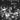 SML - Spontaneous Music Live