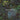 Dragonflies - Dragonflies