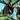 Ravyn Lenae - Blue Island
