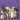Slits - Cut