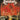 Sepultura - Morbid Visions / Bestial Devastation