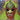Thee Oh Sees - Masters Bedroom Is Worth Spending A Night In