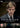 Shaun Evans / Roger Allam - Endeavour Series 2