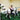 Rex Orange County - Who Cares