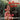 Cachao Y Su Combo - Jam Session With Feeling