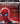 Jon Watts / Tom Holland / Jon Favreau - Spider-man: Home Trilogy Homecoming / Far From Home / No Way Home