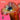 Shygirl/Various Artists - Fabric Presents Shygirl