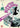 Tom Walls - Aldwych Farces Volume 4
