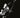 Nils Lofgren - Back It Up!!..live