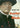 Jerry London / Gregory Peck - Scarlet & The Black