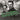 Good The Bad & The Queen - Merrie Land