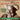 Burl Ives - The Wayfaring Stranger (Selected Classics 1941-62)