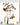Kaizo Hayashi - To Sleep So As To Dream